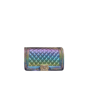 Chanel Boy Beauty Chain Around Bag Silver Tone Hardware Gradient Multicolor 26Cm