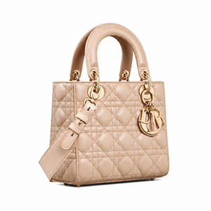 Small Lady Dior My Bag Aesthetic Beige